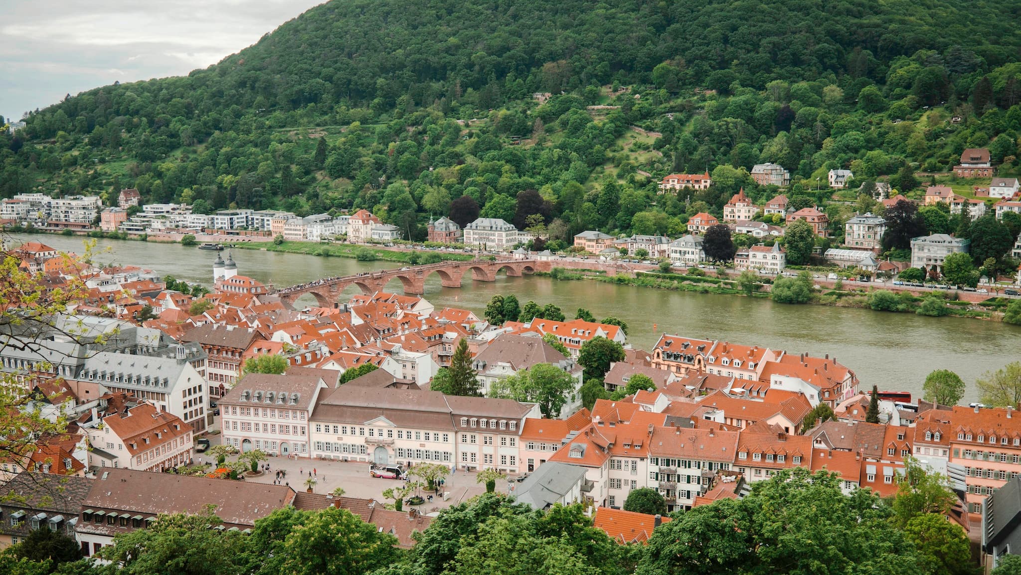 Heidelberg Town