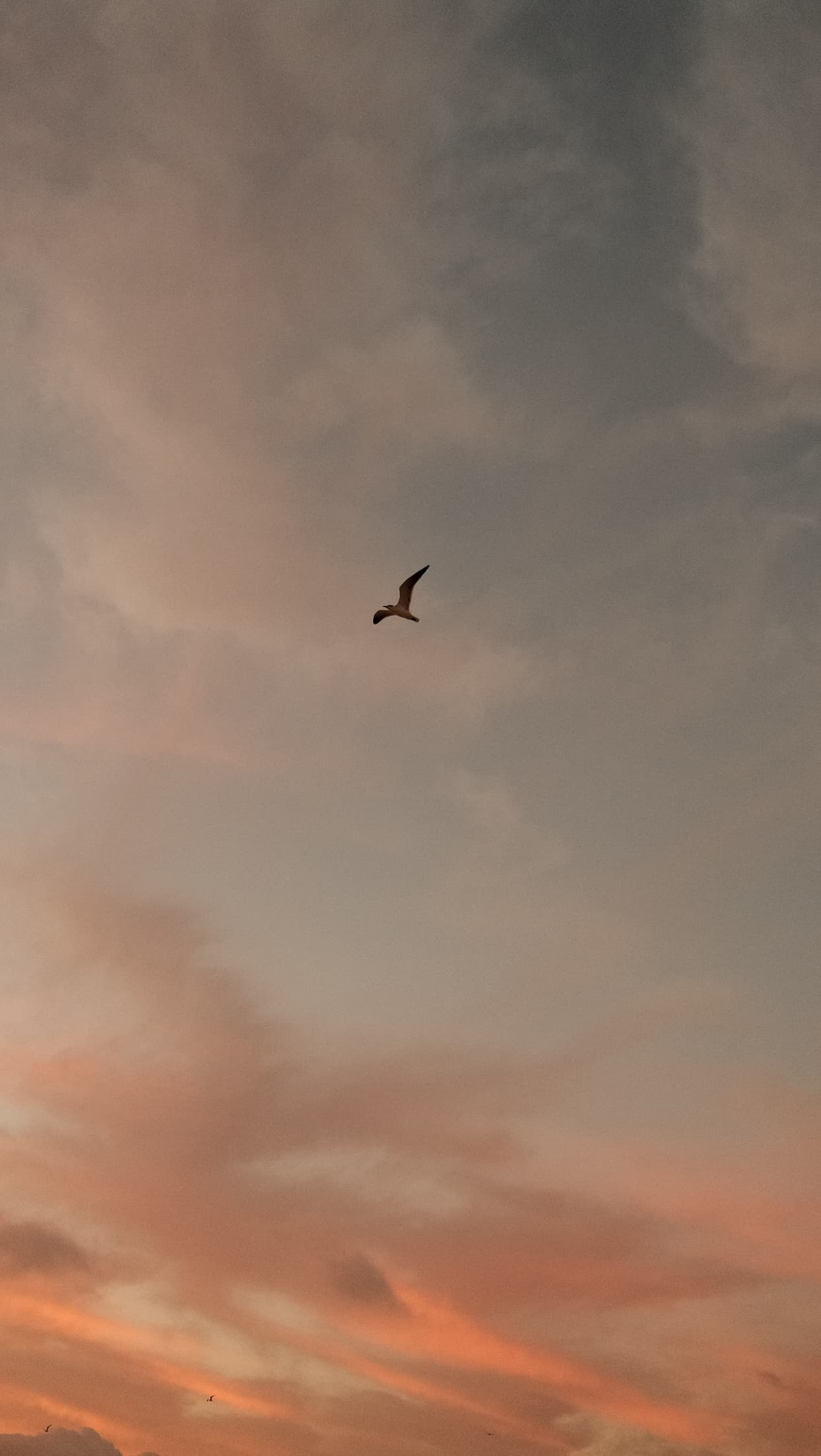 Sunrise from South Beach